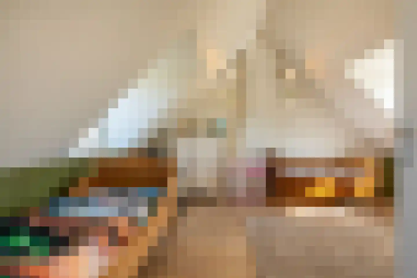 Prelaatweg 33 Aagtekerke thumbnail 30
