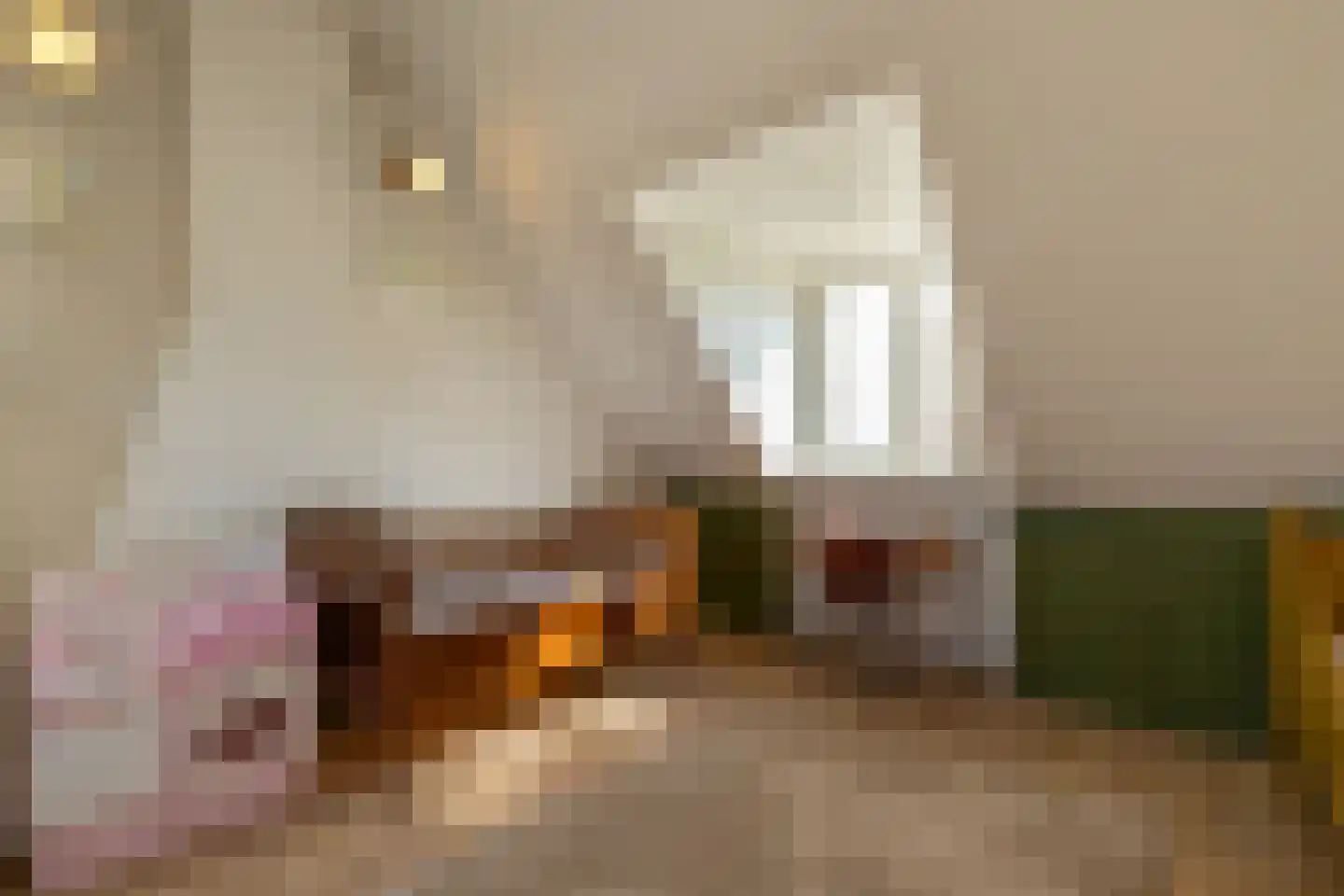 Prelaatweg 33 Aagtekerke thumbnail 31