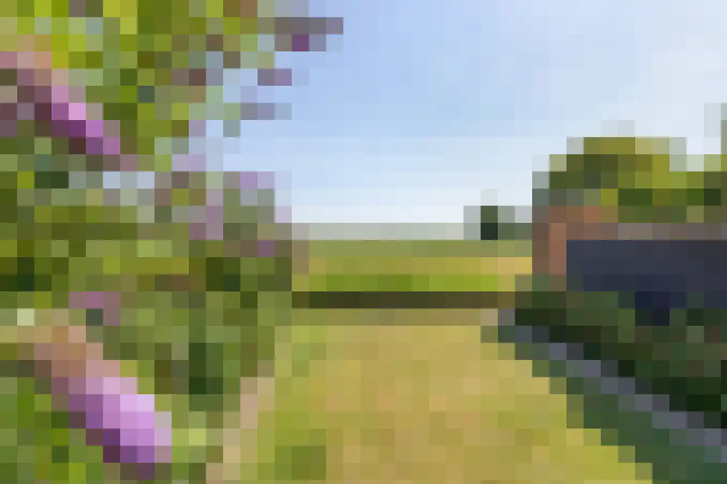 Prelaatweg 33 Aagtekerke thumbnail 4
