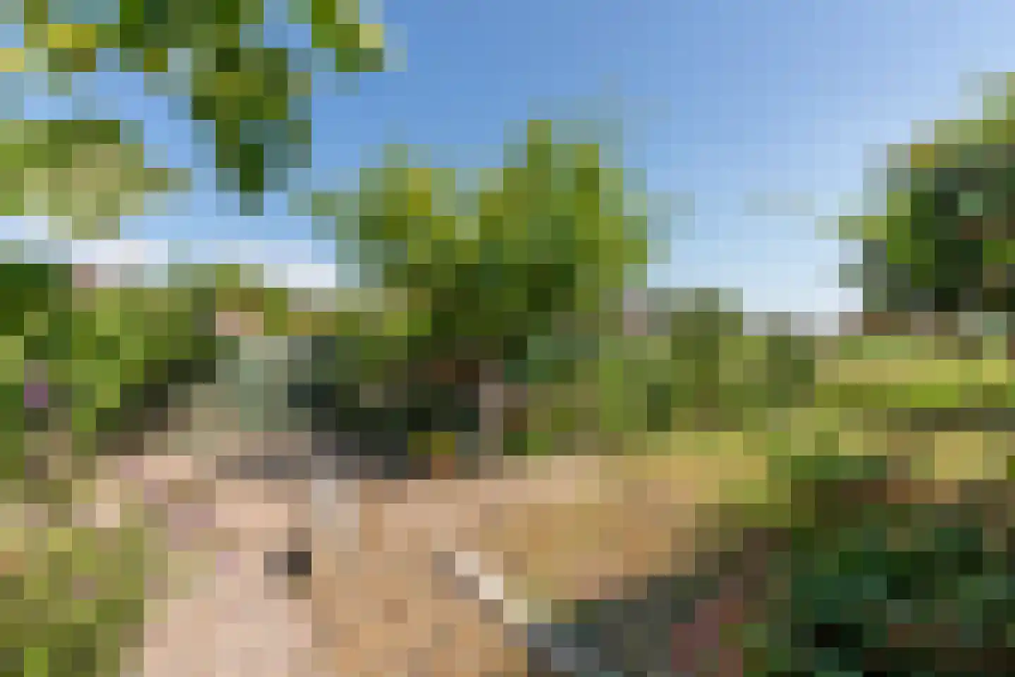 Prelaatweg 33 Aagtekerke thumbnail 40