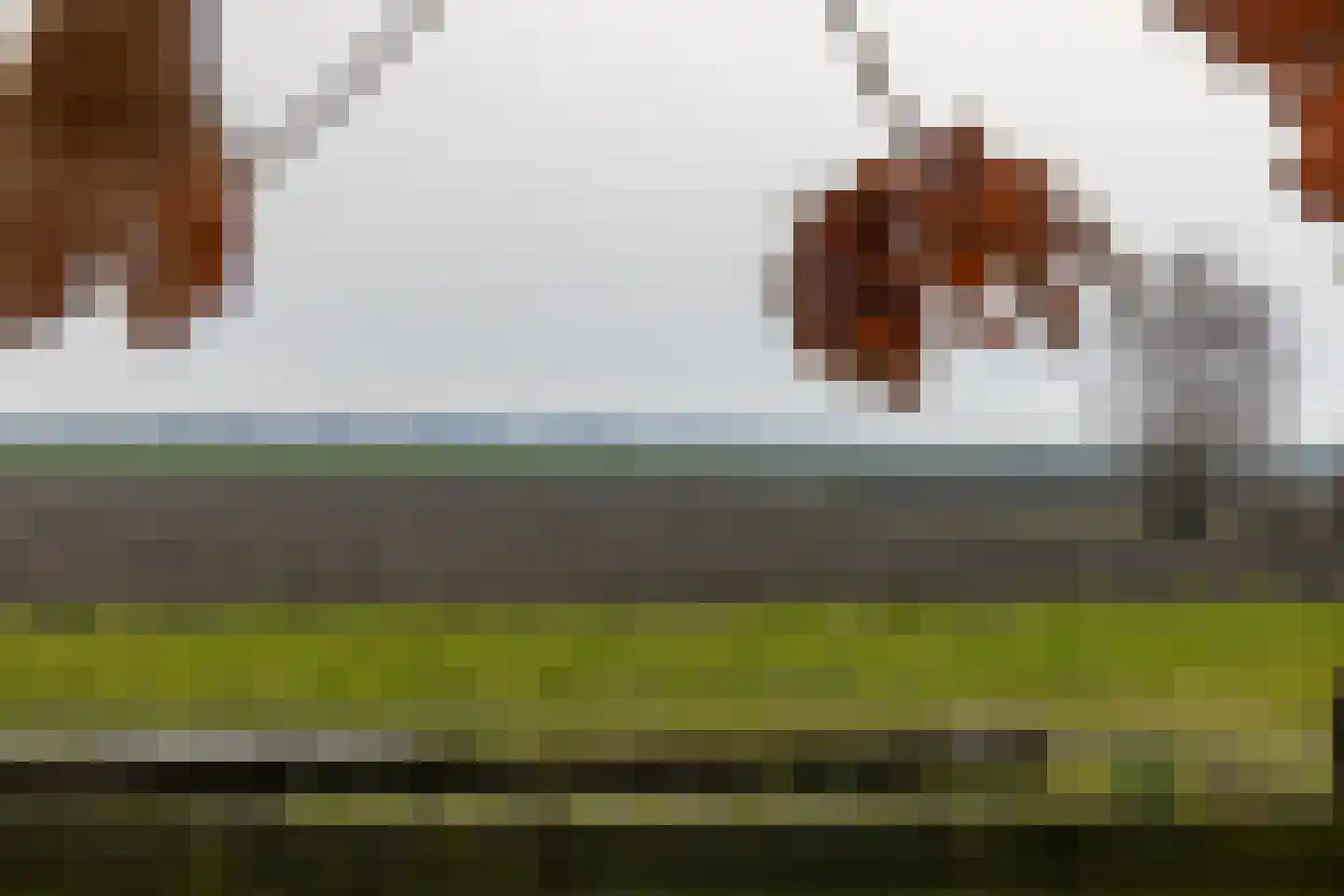 Prelaatweg 33 Aagtekerke thumbnail 42