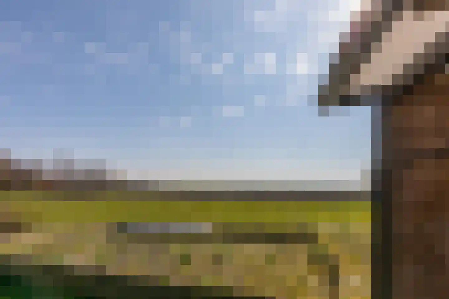 Prelaatweg 33 Aagtekerke thumbnail 5