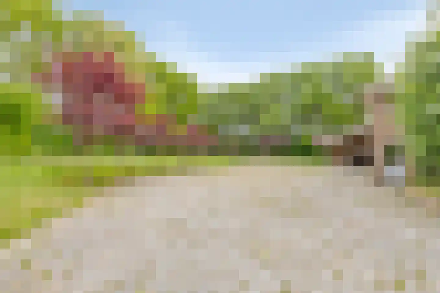 Prelaatweg 6 Westkapelle thumbnail 50
