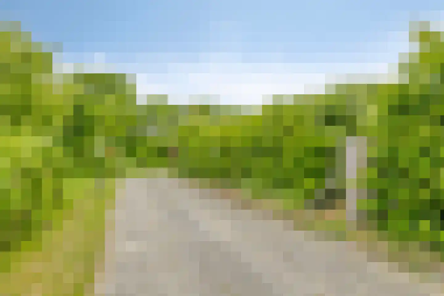 Prelaatweg 6 Westkapelle thumbnail 53