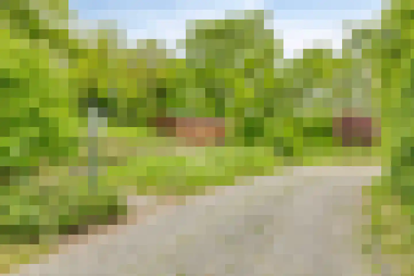 Prelaatweg 6 Westkapelle thumbnail 54
