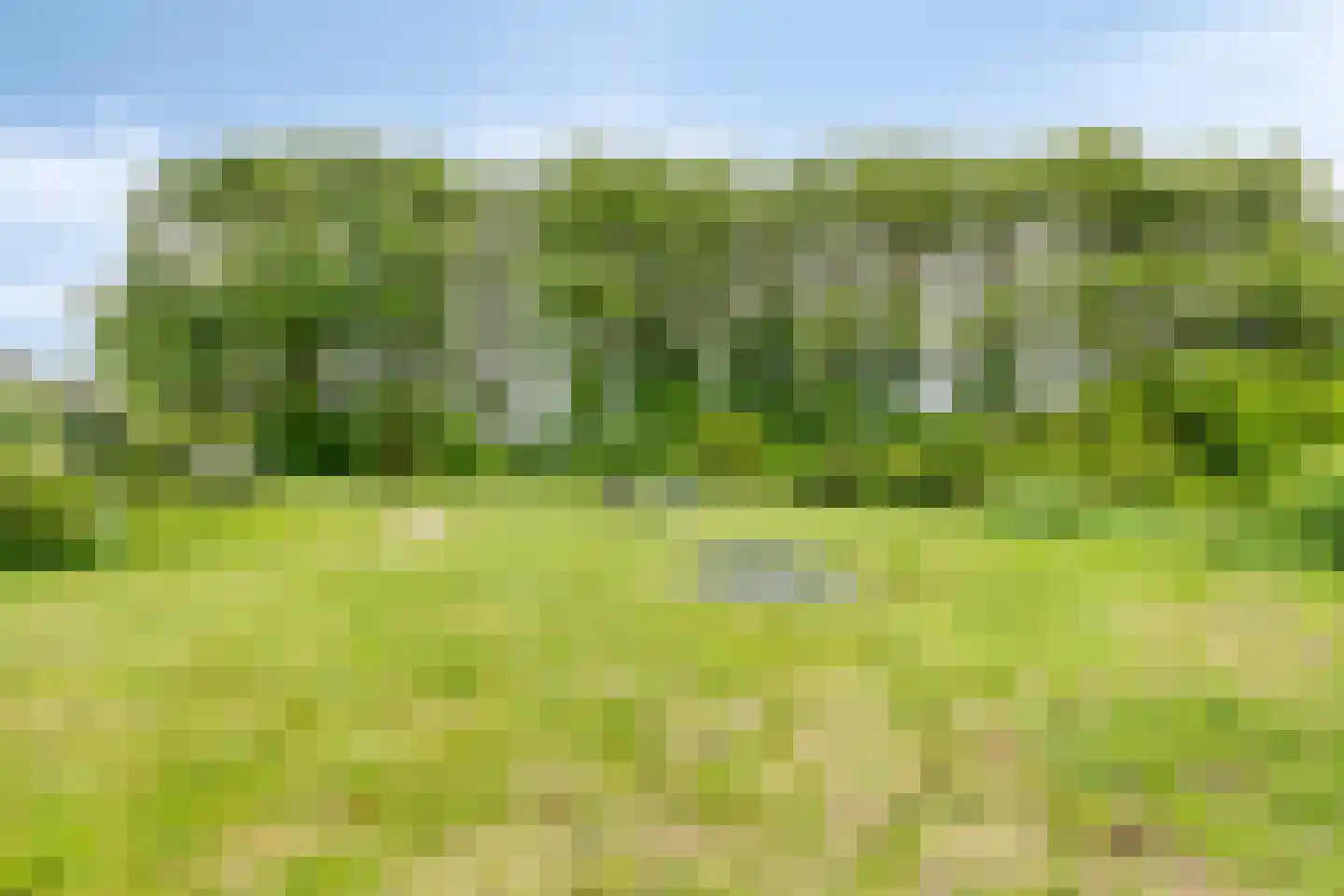 Prelaatweg 6 Westkapelle thumbnail 60