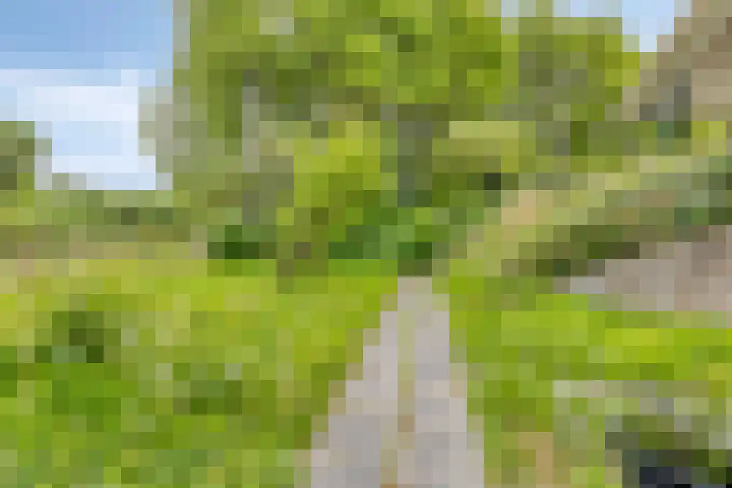 Prelaatweg 6 Westkapelle thumbnail 61