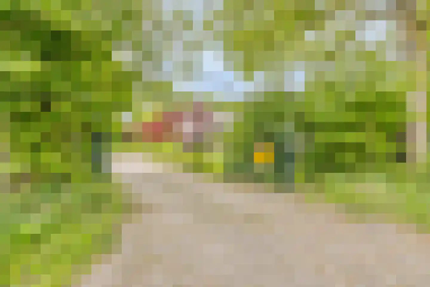 Prelaatweg 6 Westkapelle thumbnail 64