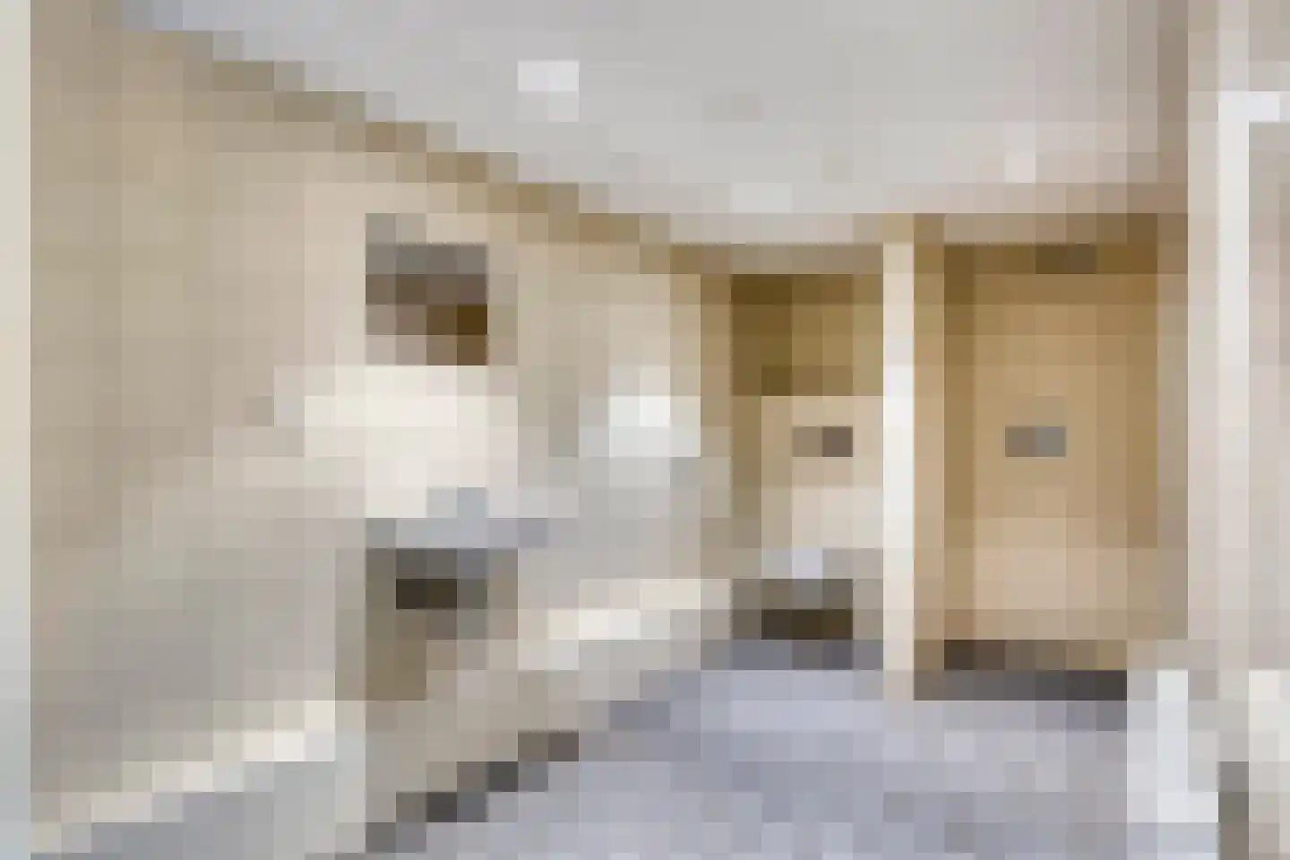Prelaatweg 6 Westkapelle thumbnail 9