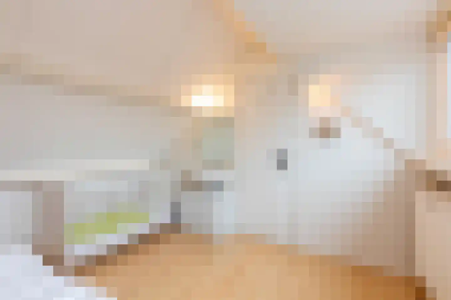 Prelaatweg 75 Aagtekerke thumbnail 17