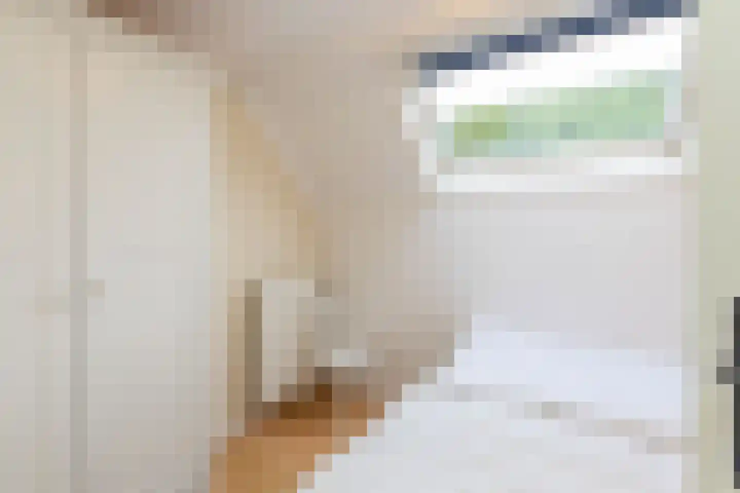 Prelaatweg 75 Aagtekerke thumbnail 19