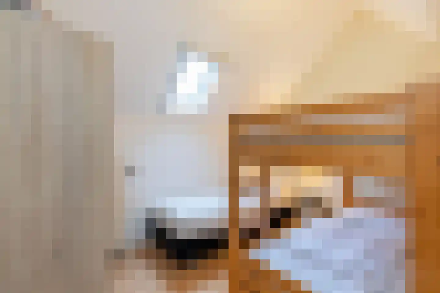 Prelaatweg 75 Aagtekerke thumbnail 21