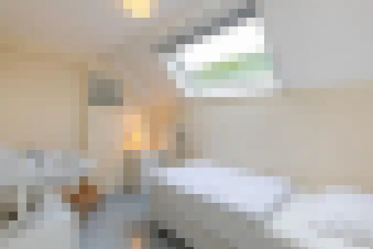 Prelaatweg 75 Aagtekerke thumbnail 22