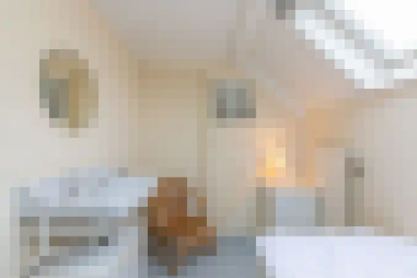 Prelaatweg 75 Aagtekerke thumbnail 23