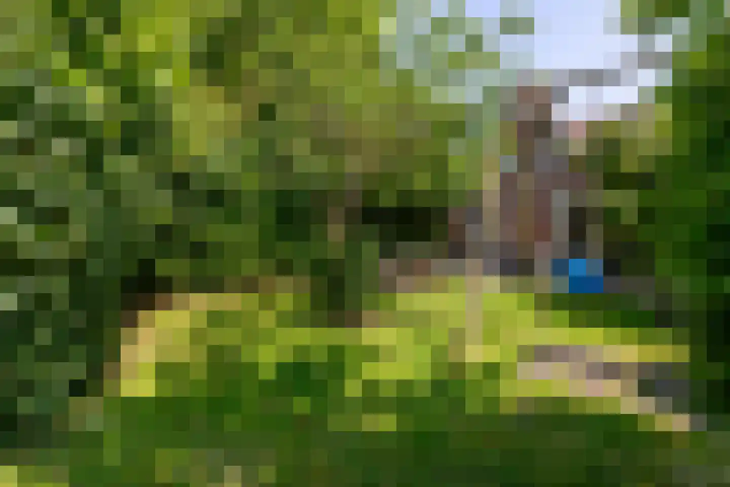 Prelaatweg 75 Aagtekerke thumbnail 28