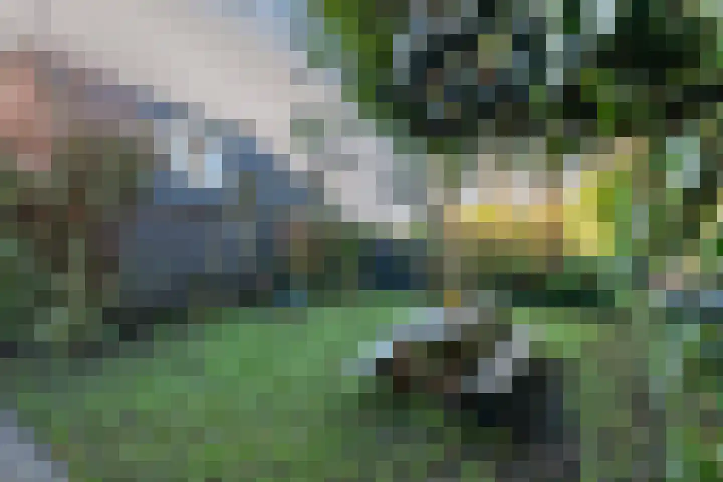 Prelaatweg 75 Aagtekerke thumbnail 29