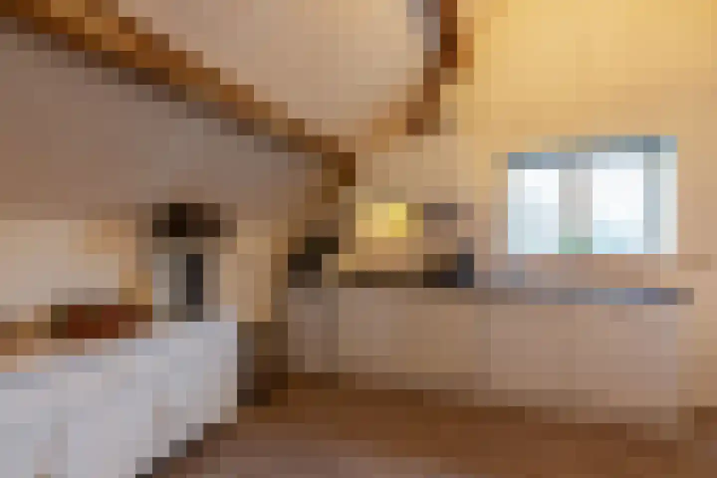 Prelaatweg 75 Aagtekerke thumbnail 34