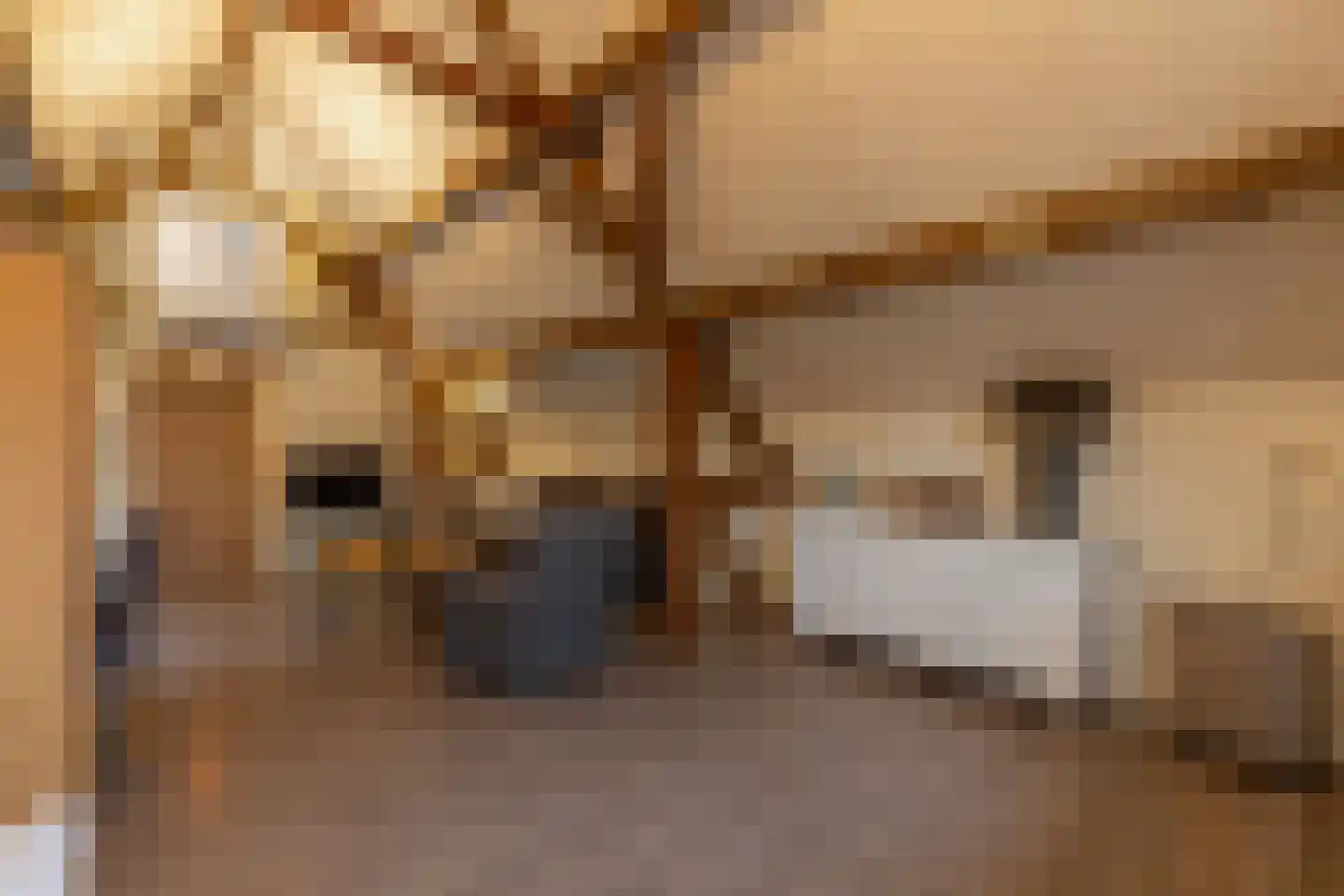 Prelaatweg 75 Aagtekerke thumbnail 36