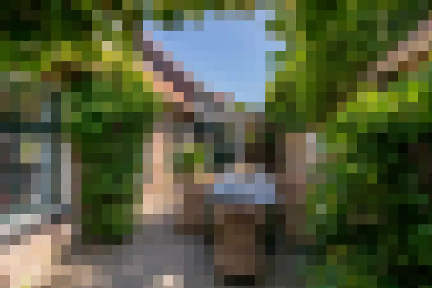 Prelaatweg 75 Aagtekerke thumbnail 4