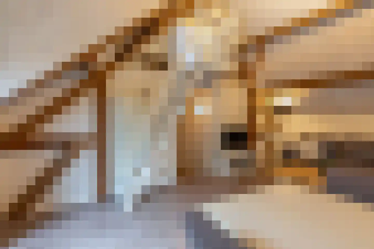 Prelaatweg 75 Aagtekerke thumbnail 40