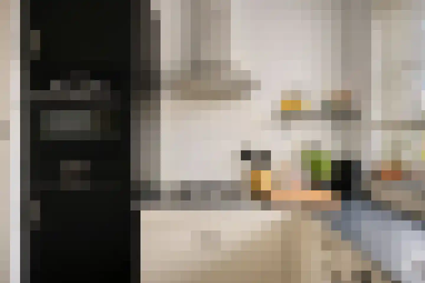Prelatenpad 22 Berlicum thumbnail 10