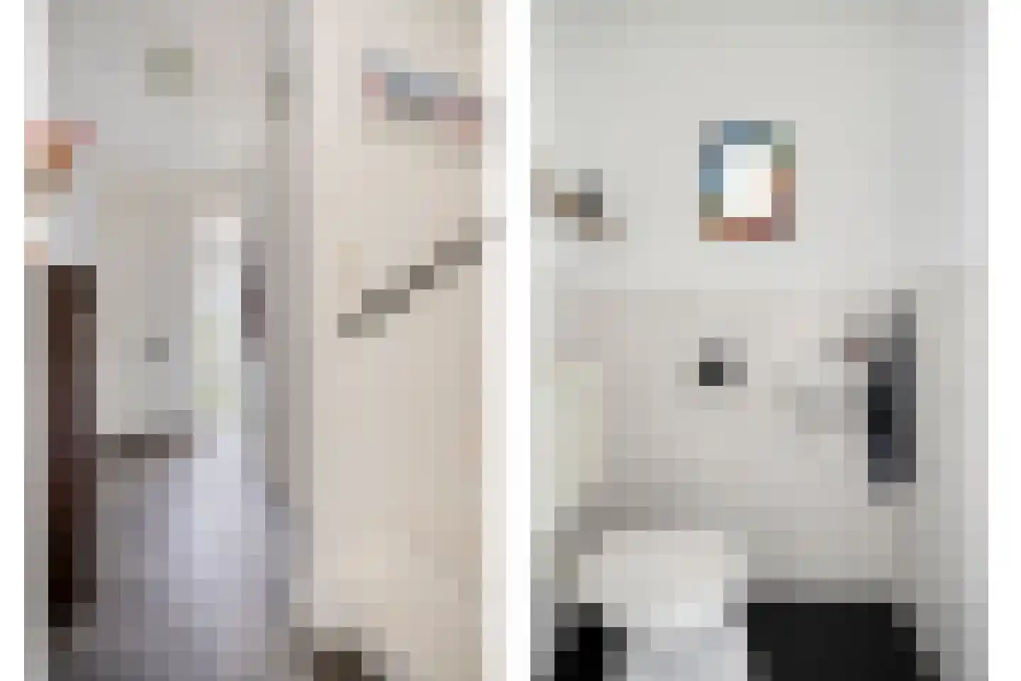 Prelatenpad 22 Berlicum thumbnail 11