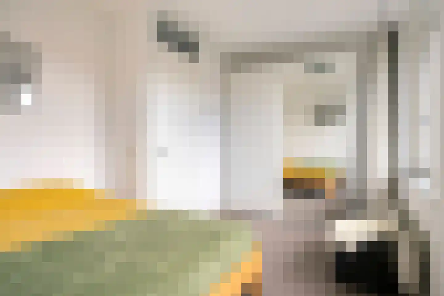 Prelatenpad 22 Berlicum thumbnail 14