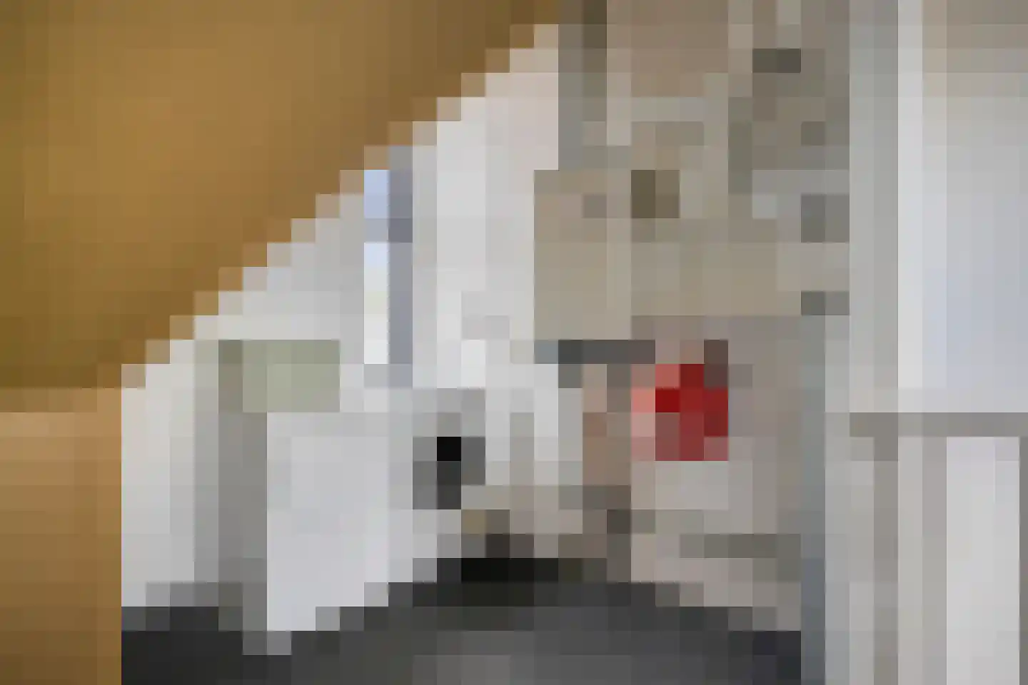 Prelatenpad 22 Berlicum thumbnail 20