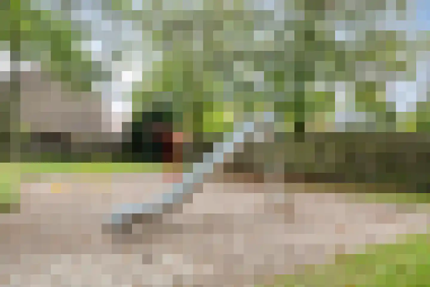 Prelatenpad 22 Berlicum thumbnail 28