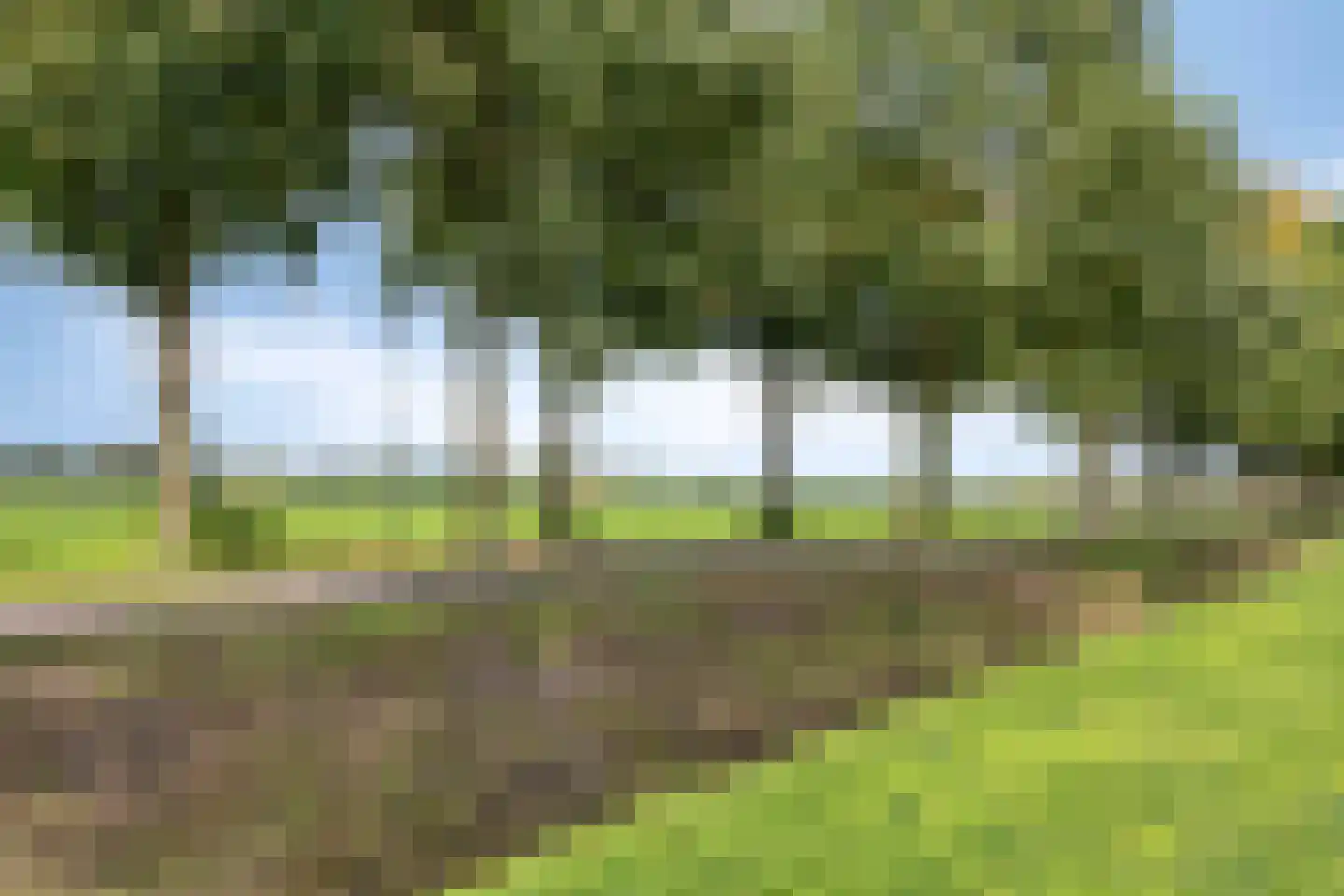 Prelatenpad 22 Berlicum thumbnail 29