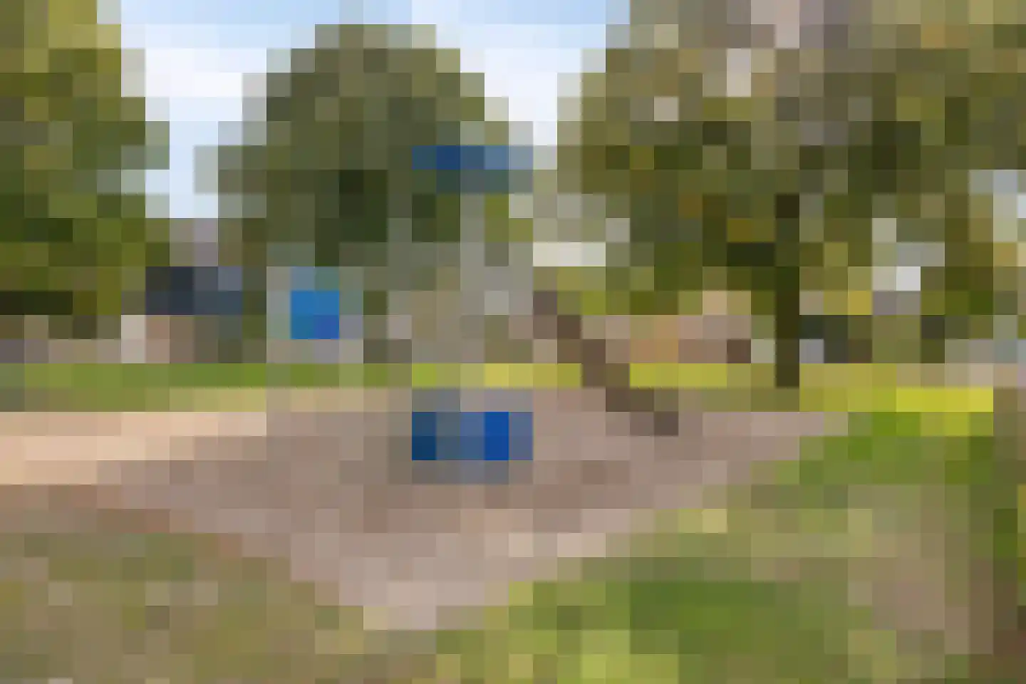 Prelatenpad 22 Berlicum thumbnail 30