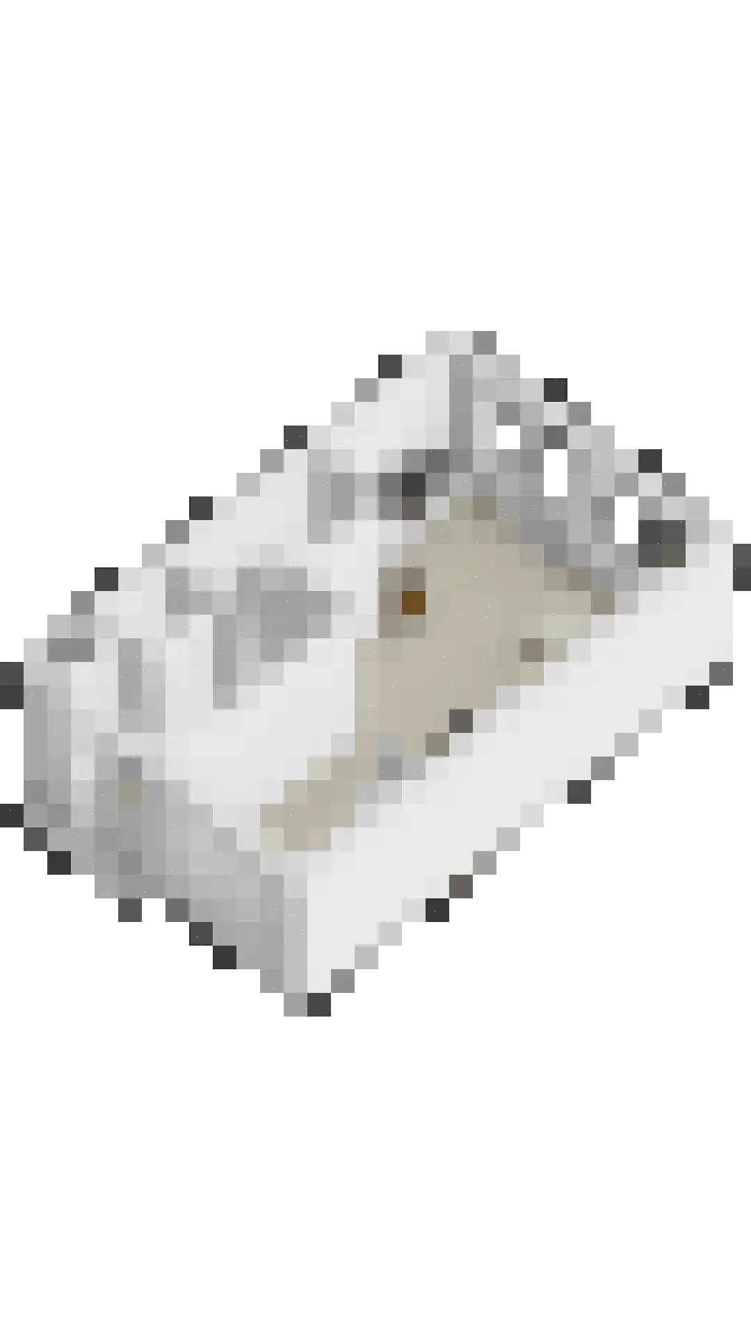 Prelatenpad 22 Berlicum thumbnail 37