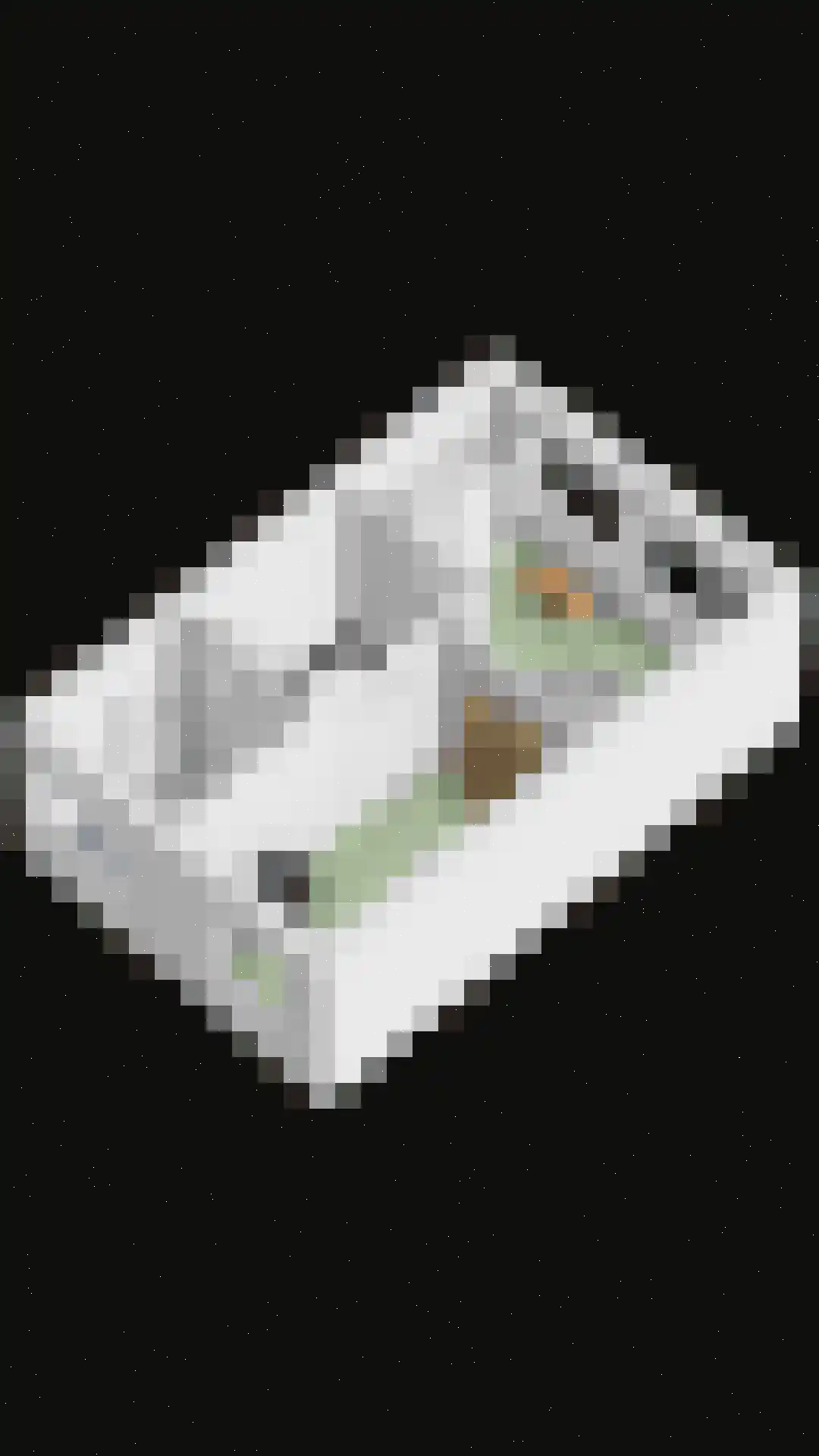 Prelatenpad 22 Berlicum thumbnail 38