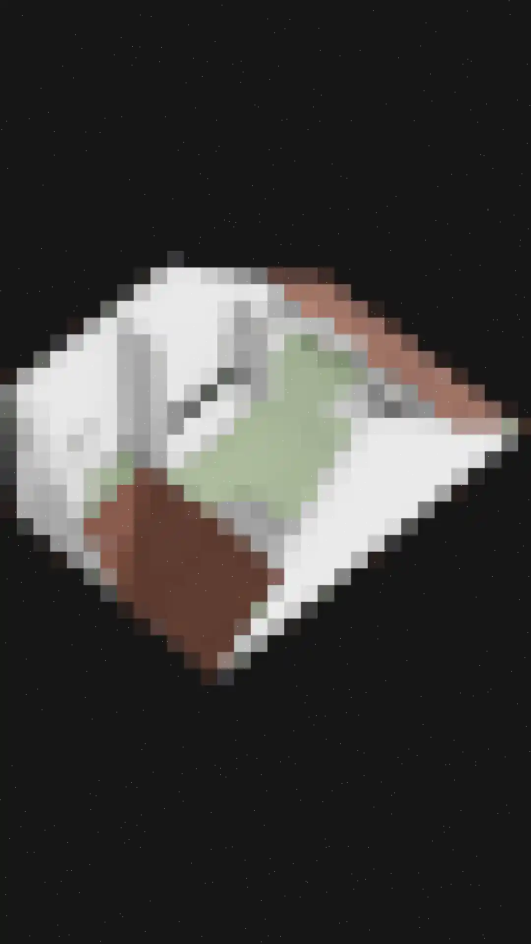 Prelatenpad 22 Berlicum thumbnail 39