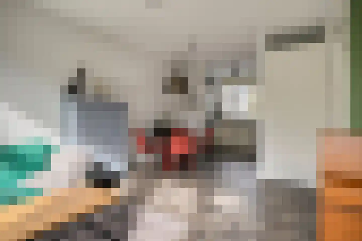 Prelatenpad 22 Berlicum thumbnail 7