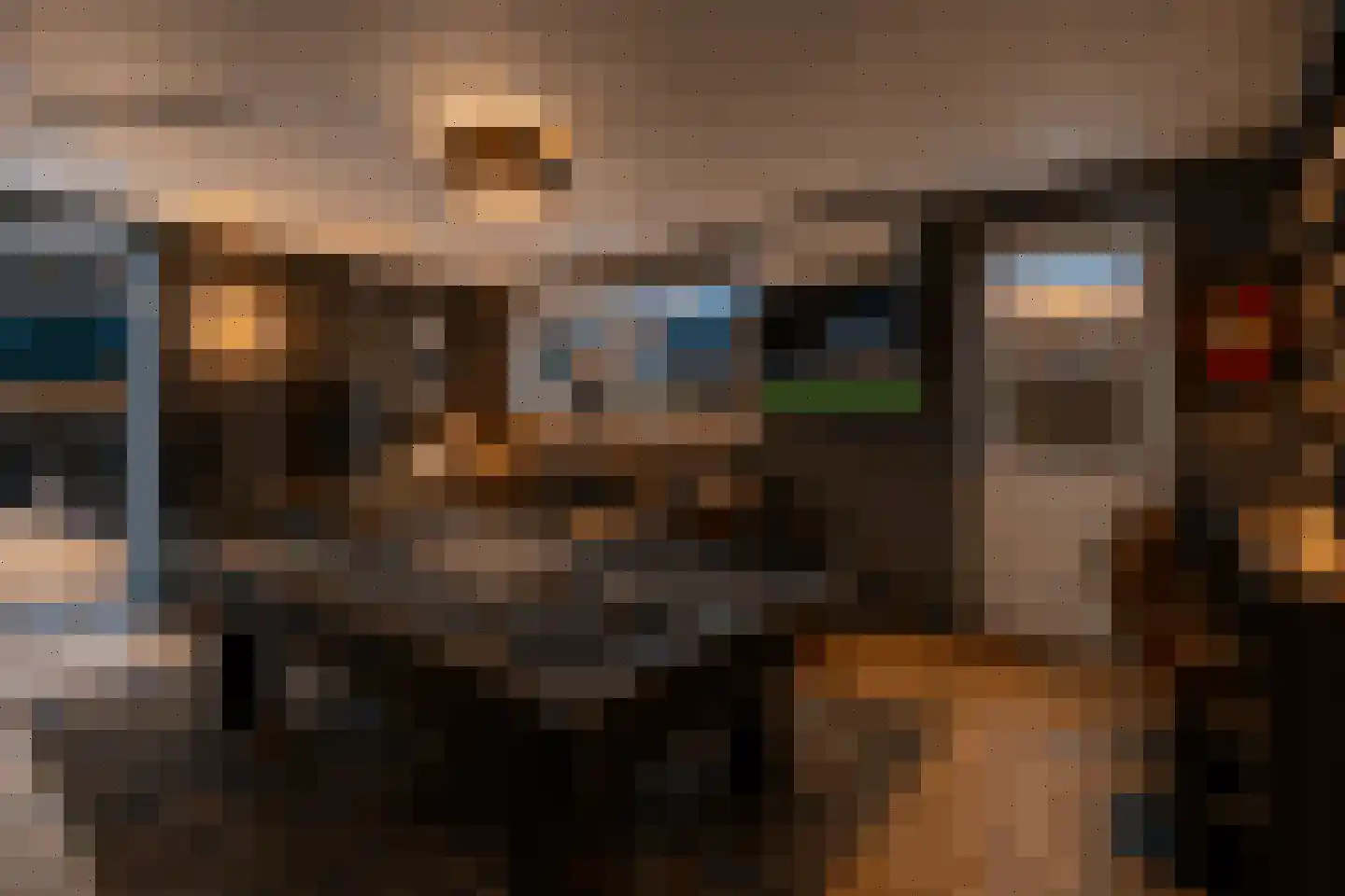 Prelude 101 Zaandam thumbnail 26