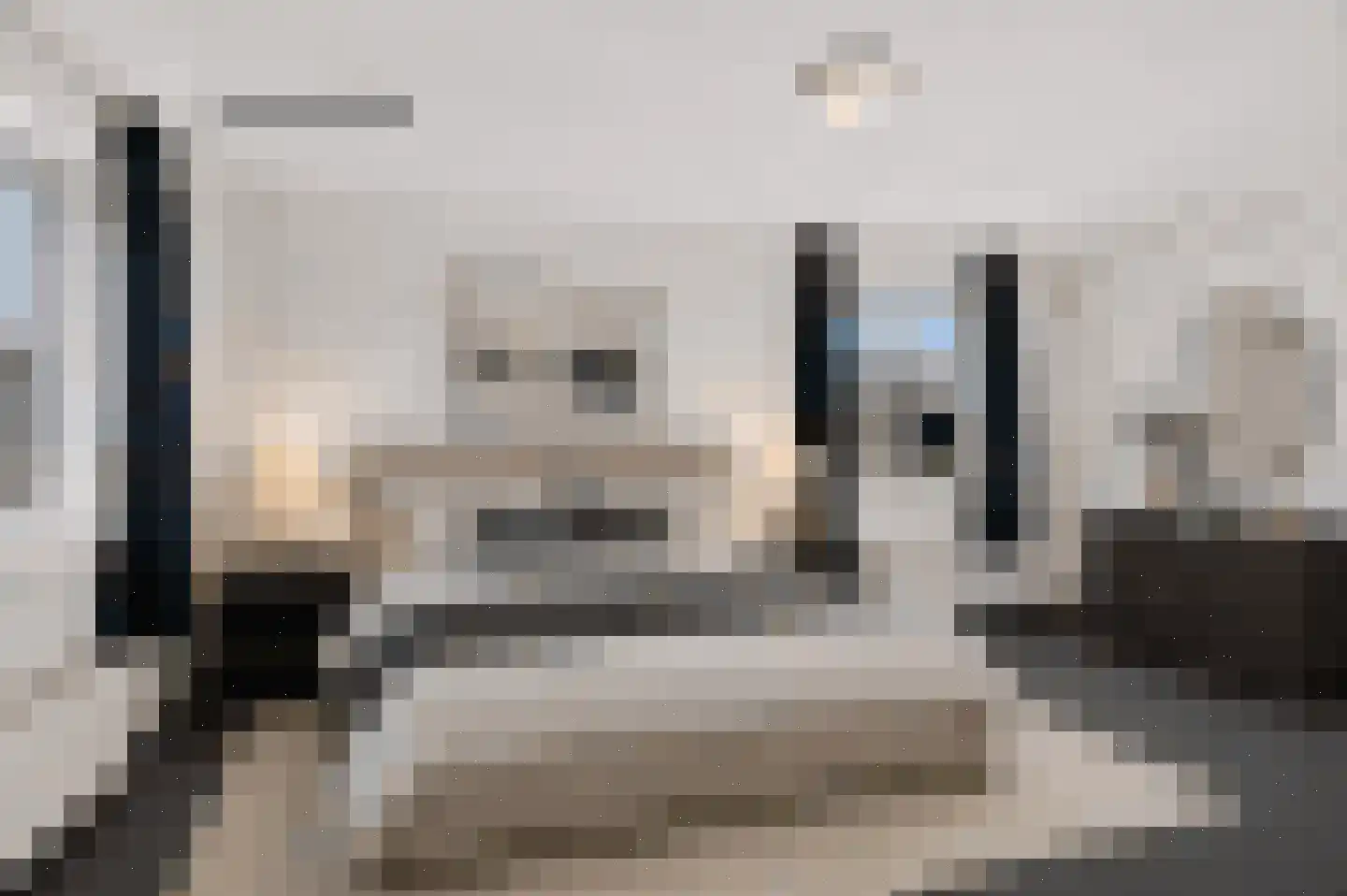 Prelude 101 Zaandam thumbnail 43