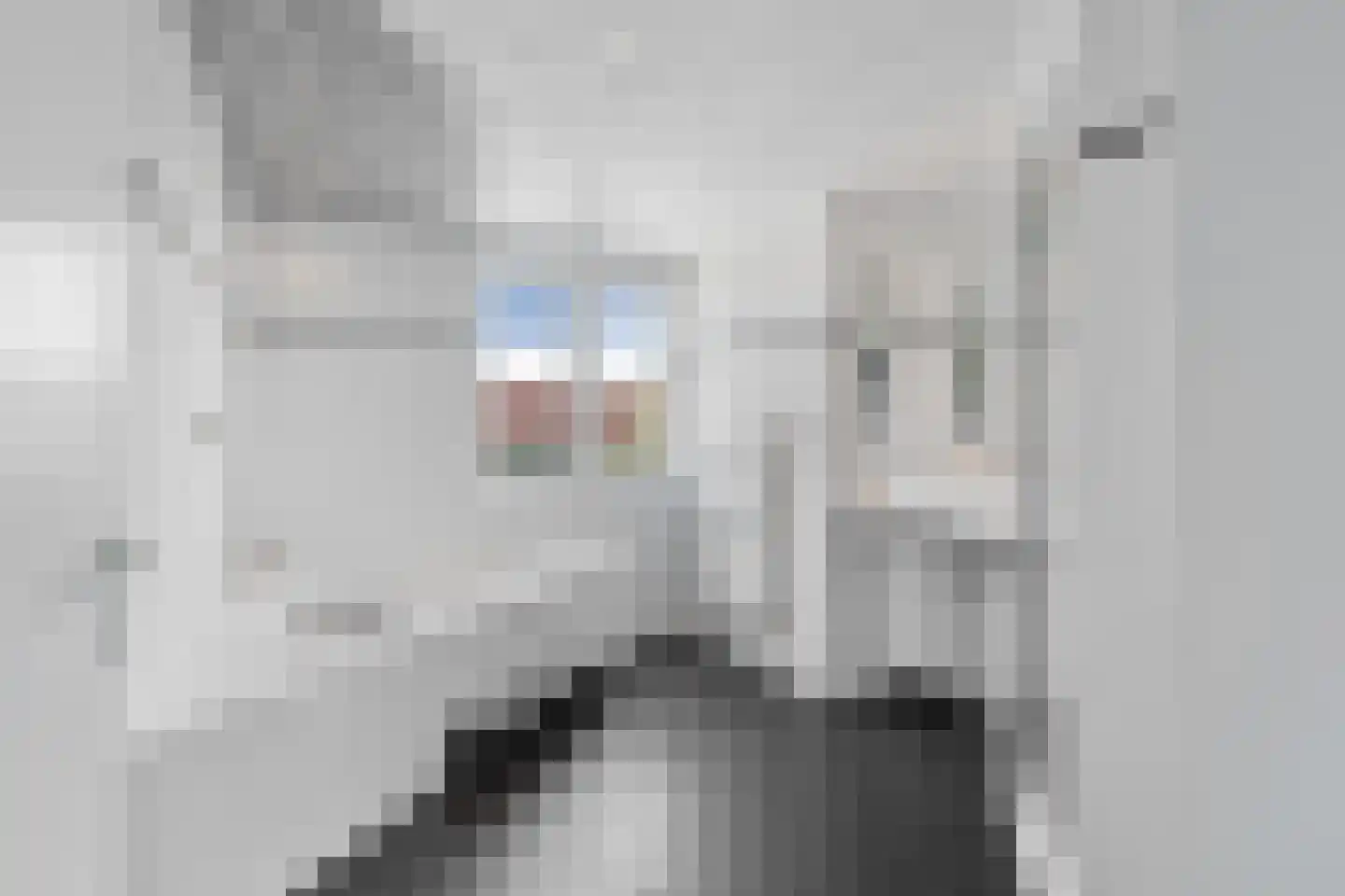 Prelude 101 Zaandam thumbnail 44