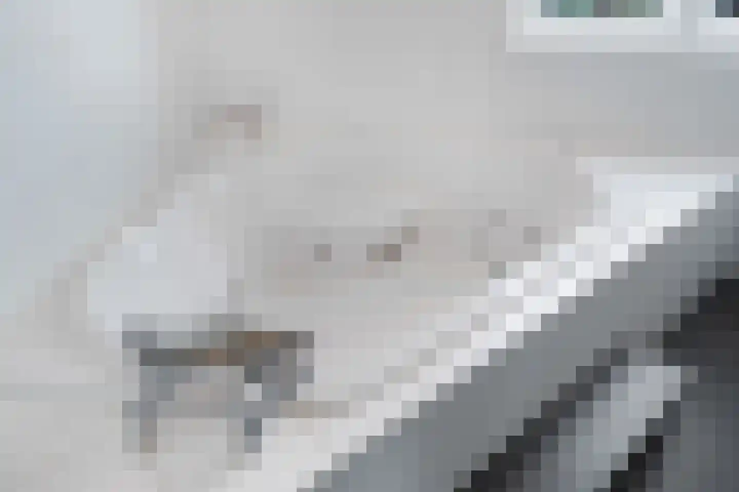 Prelude 101 Zaandam thumbnail 45