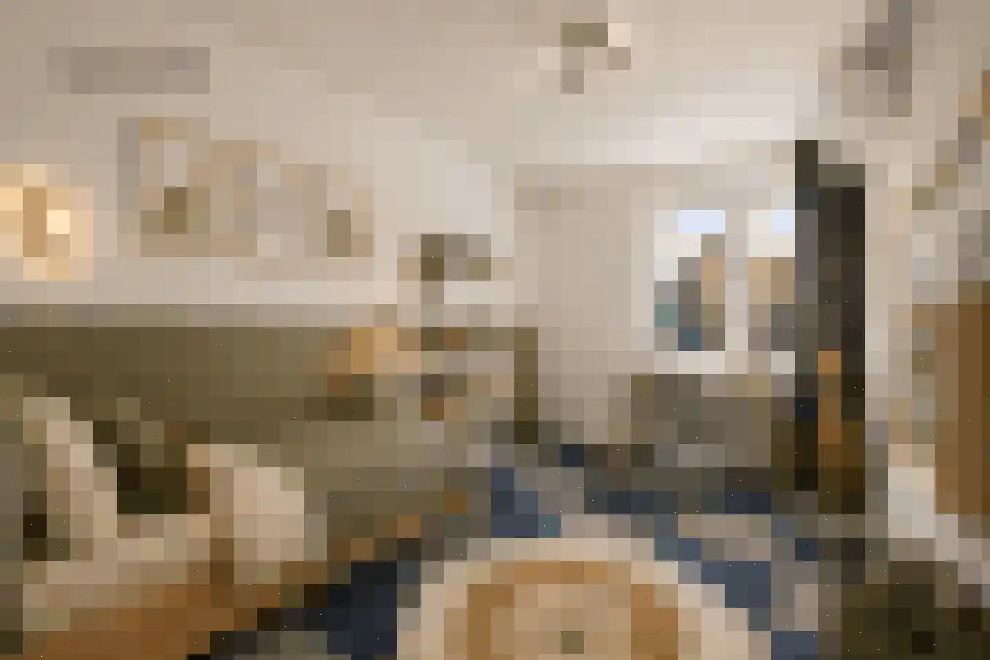 Prelude 101 Zaandam thumbnail 47