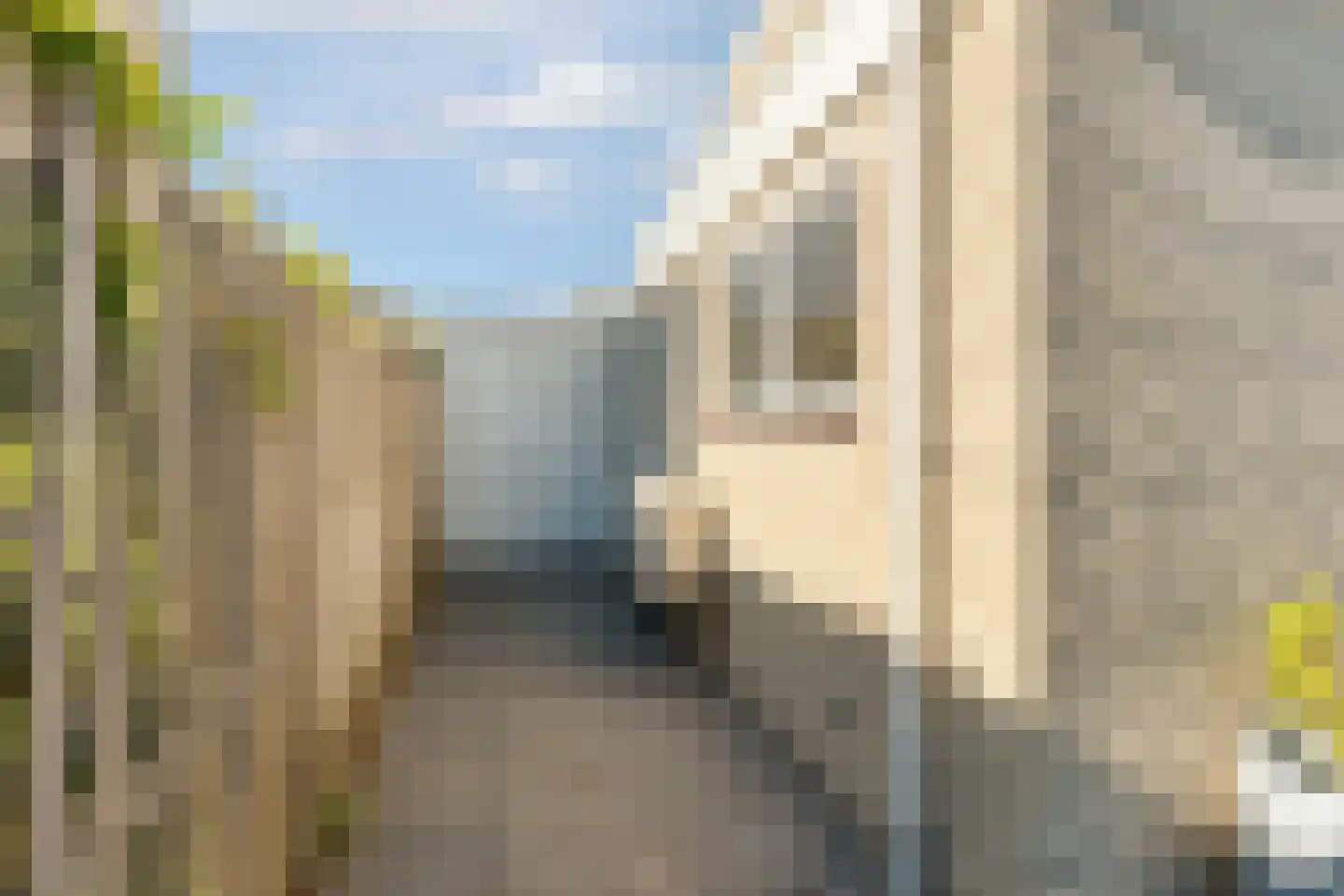 Prelude 101 Zaandam thumbnail 60