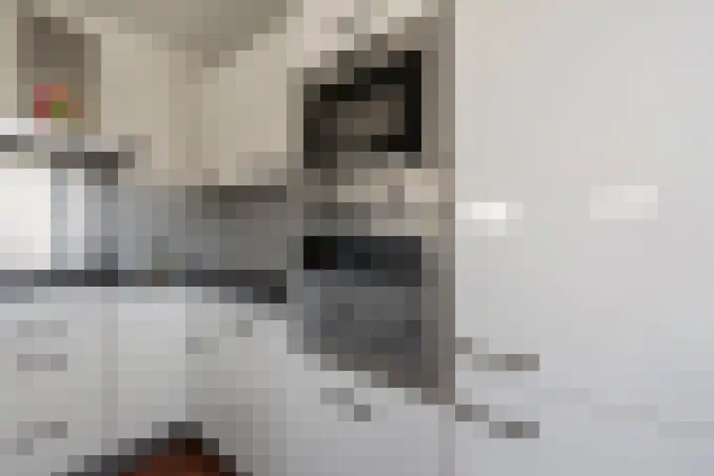 Prelude 33 Zaandam thumbnail 12