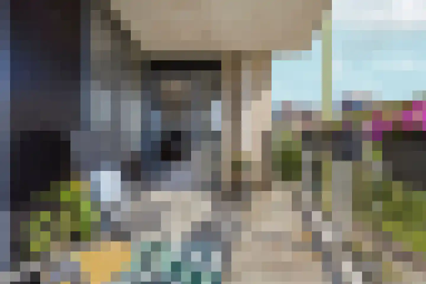 Prelude 33 Zaandam thumbnail 26