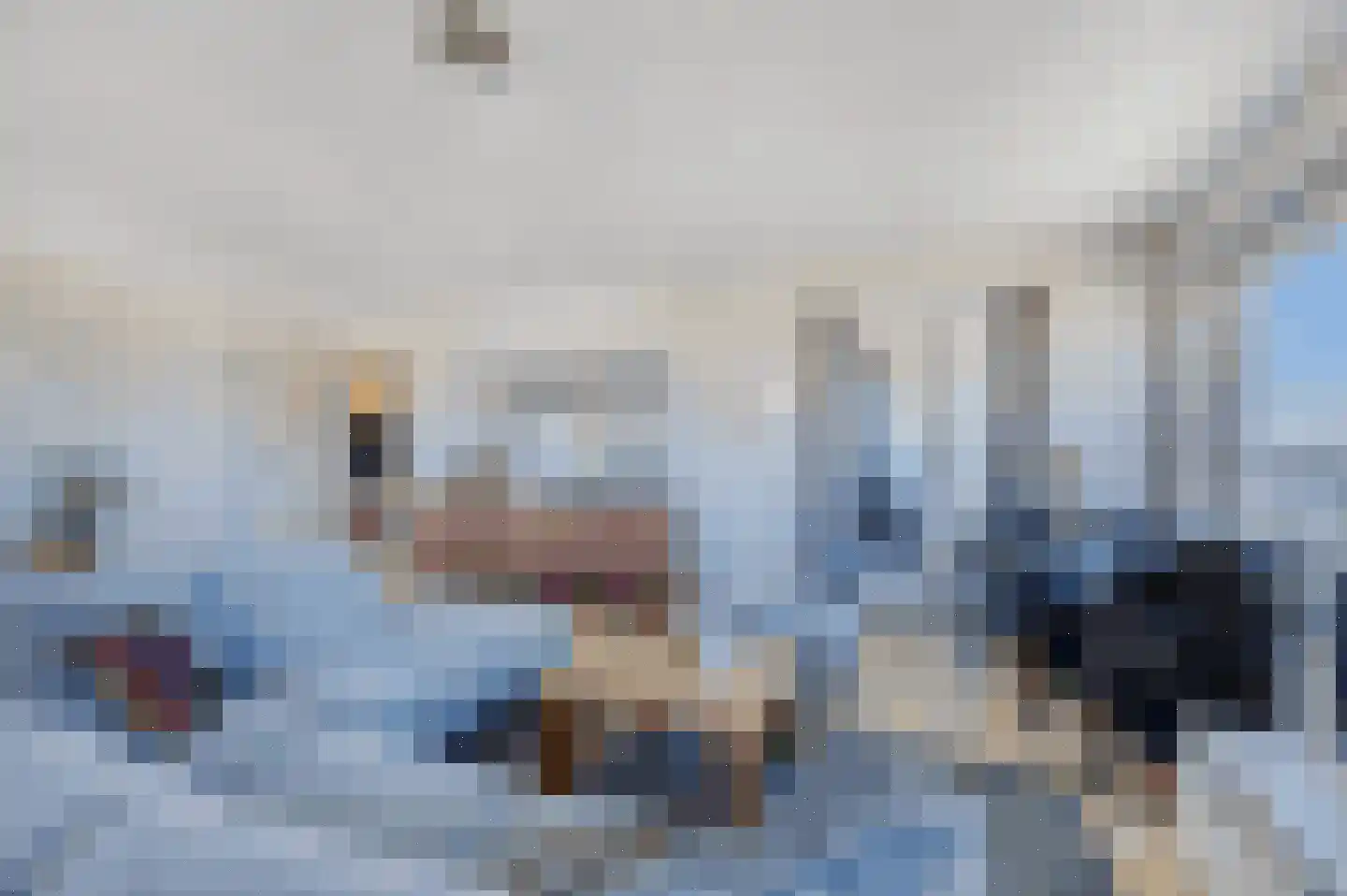 Prelude 39 Zaandam thumbnail 6