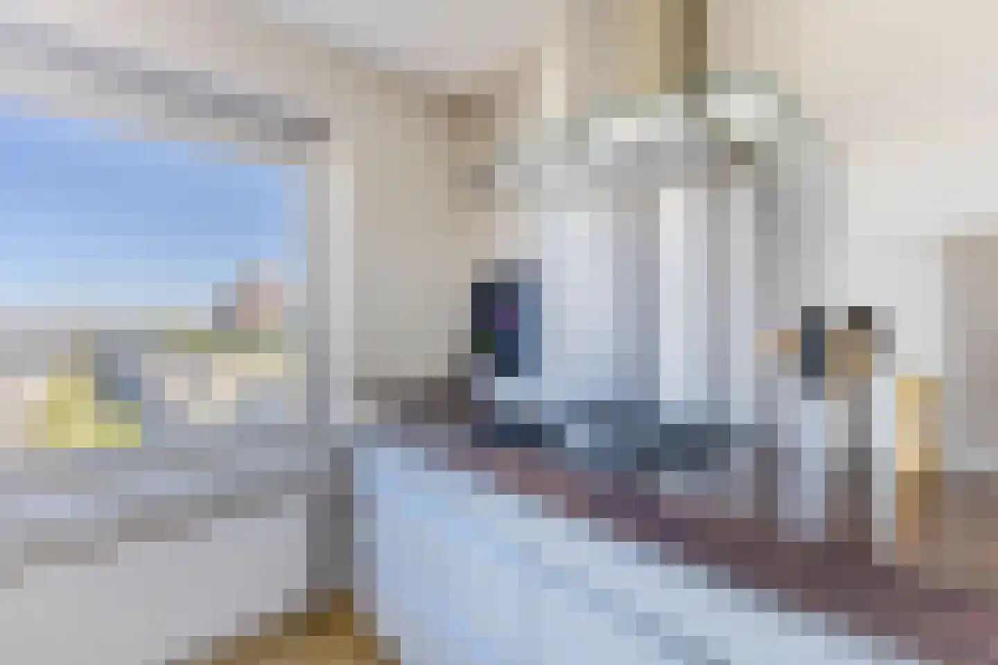 Prelude 39 Zaandam thumbnail 7