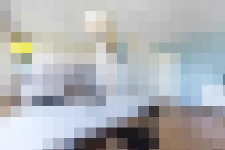 Prelude 63 Zaandam thumbnail 18