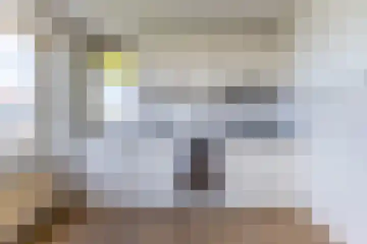 Prelude 63 Zaandam thumbnail 20