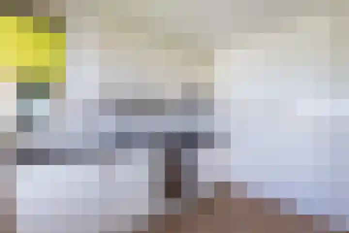 Prelude 63 Zaandam thumbnail 22
