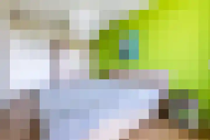 Prelude 63 Zaandam thumbnail 24