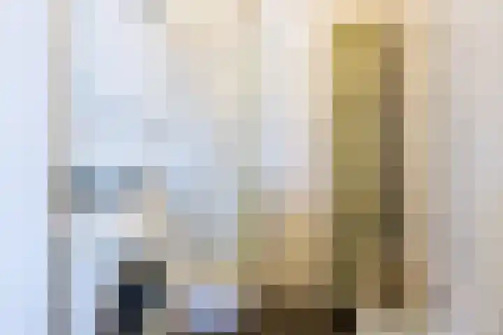 Prelude 63 Zaandam thumbnail 28